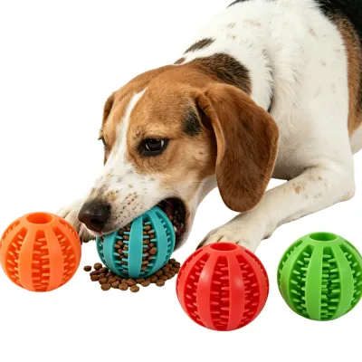 beagle-dog-chewing-dental-treat-dispenser A Beagle dog chewing on a turquoise dental ball with kibble spilling out, surrounded by orange, red, and green balls.