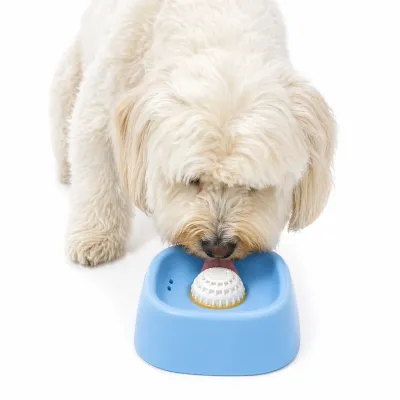 dog using blue slow feeder bowl with rotating lick disc to promote healthy eating and reduce choking