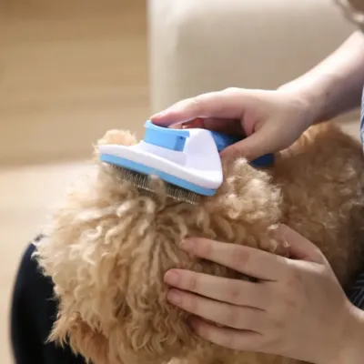 Close-up of a blue and white pet grooming brush effectively lifting matted hair from a poodle-mix coat.