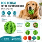 Infographic showing features of the dog dental ball, including durable TPR material, teeth cleaning bristles, and treat dispensing.