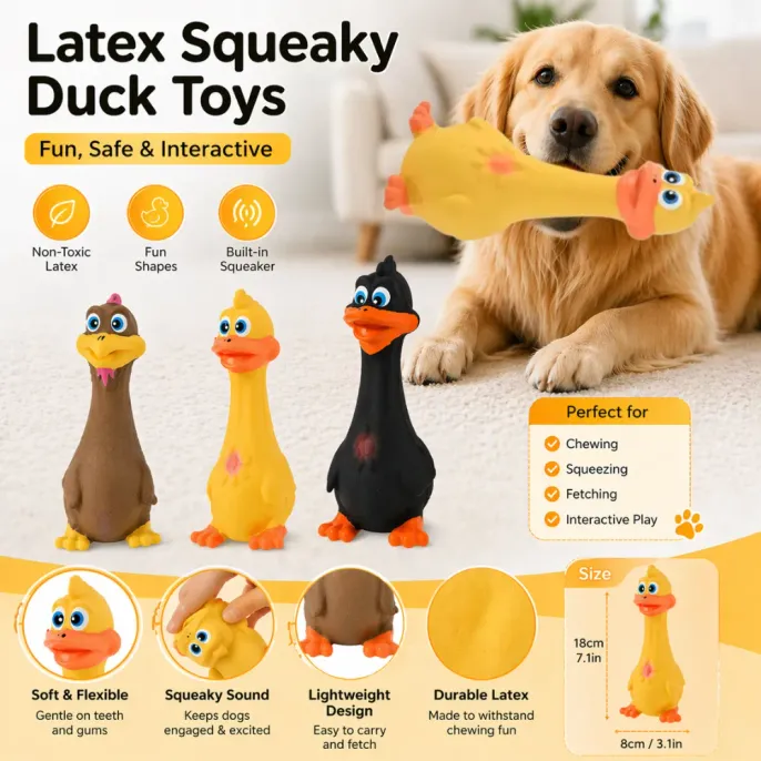 A detailed marketing infographic showcasing a Golden Retriever with a duck toy, highlighting features like non-toxic latex, built-in squeaker, and durable design.