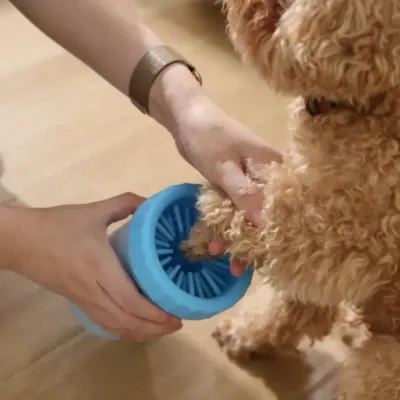 person-preparing-to-use-blue-dog-paw-cleaner-on-poodle A person is sitting on the floor, holding a light blue dog paw cleaner cup, and is about to guide a small, curly-haired, apricot-colored poodle's paw into the device.