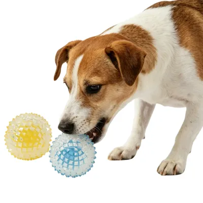jack-russell-terrier-chewing-spiked-ball A Jack Russell Terrier biting into a blue spiked TPR ball to demonstrate its chew-resistant texture.