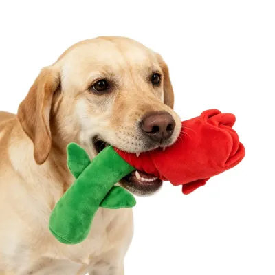Close-up of a dog’s mouth holding the plush rose toy, demonstrating the bite-resistant fabric and food-grade material.