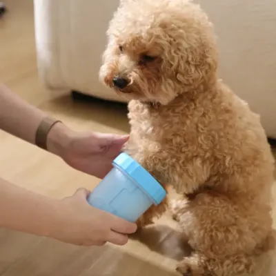 close-up-poodle-paw-inside-blue-silicone-paw-washer A detailed, close-up photograph looking down into the open, light-blue pet paw cleaner. It shows a small, fluffy poodle's paw fully submerged inside, with the internal blue silicone bristles visible surrounding the paw. The person's hand is guiding the pa