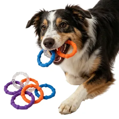 durable-tpr-chew-toy-for-large-dogs large Australian Shepherd laying down and happily chewing on an orange and blue interlocking 3-ring toy.