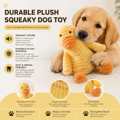Durable Plush Squeaky Dog Toy Features Crinkle Sound Soft Dental Friendly Petfairs Feature infographic of durable plush squeaky dog toy with crinkle sound soft filling and bite resistant fabric