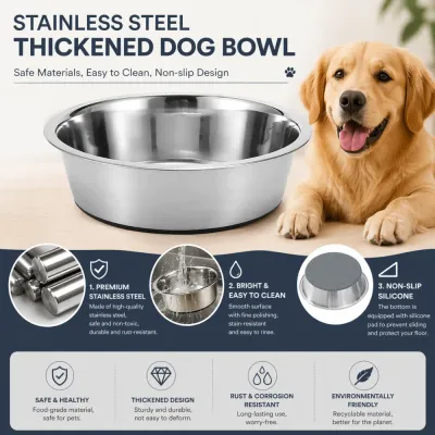 Premium thickened stainless steel dog bowl featuring food grade material easy cleaning and anti-slip silicone base.