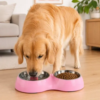 A Golden Retriever eating from a pink double bowl on a wooden floor in a living room.