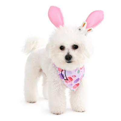 A small white Bichon Frise wearing a pink Easter egg patterned bandana and plush bunny ears headband with a rabbit charm.