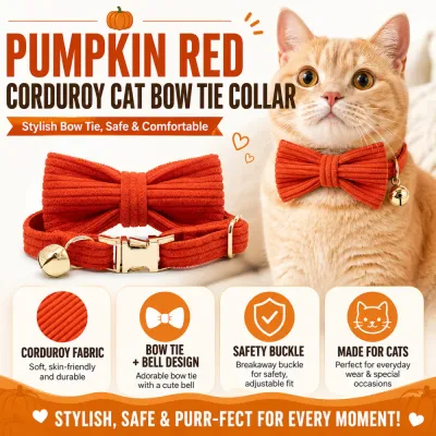 Infographic highlighting features of the pumpkin red corduroy cat collar: skin-friendly fabric, breakaway safety buckle, and bell design.