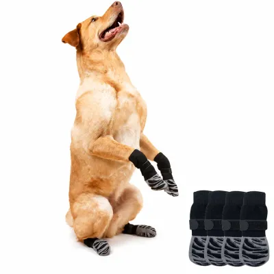 anti-slip-dog-socks-large-dog-lifestyle A large golden dog wearing black and grey striped anti-slip socks standing on hind legs to show grip performance.