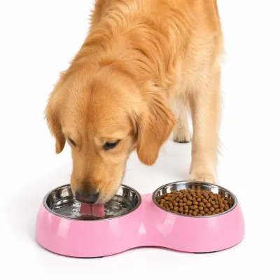 A Golden Retriever drinking water from a pink stainless steel double pet bowl for food and water.