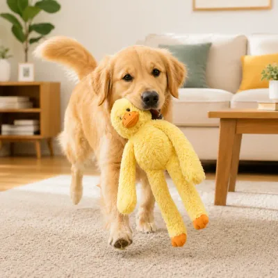 Golden-Retriever-Carrying-Duck-Plush-Toy An adult Golden Retriever happily carrying the long-arm duck toy in its mouth across a living room rug.