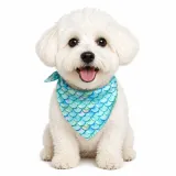 A fluffy white Maltipoo dog sitting and smiling while wearing a teal fish scale pattern summer dog bandana.