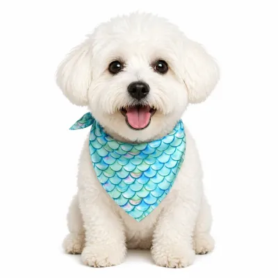 Happy Small White Dog Wearing Mermaid Scale Bandana A fluffy white Maltipoo dog sitting and smiling while wearing a teal fish scale pattern summer dog bandana.
