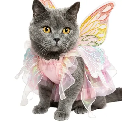 A grey British Shorthair cat wearing a pink princess fairy dress with large embroidered butterfly wings and pearl accents.
