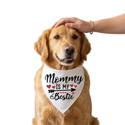 Mommy Is My Bestie Dog Bandana Front View Golden Retriever wearing white Mommy Is My Bestie dog bandana with heart and arrow design
