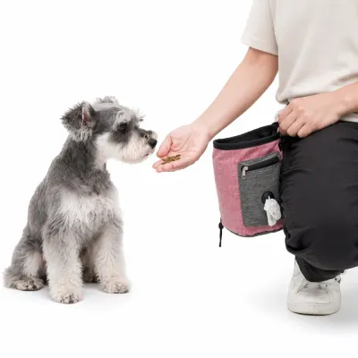 A dog trainer rewarding a Schnauzer with kibble from a red fabric pet training treat bag.