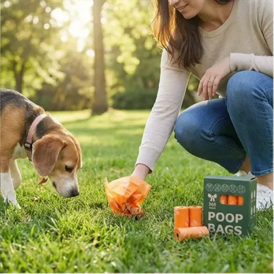 Heavy Duty Pet Waste Bags for Daily Walks A person picking up waste with an orange biodegradable bag in a park with a beagle.