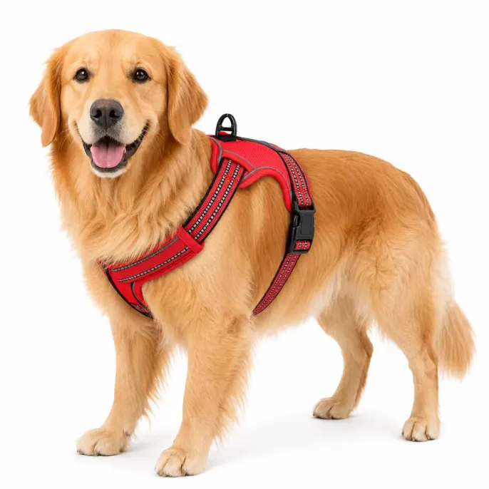 Red Reflective No-Pull Dog Harness on Golden Retriever A Golden Retriever wearing a heavy-duty red reflective dog harness with a top handle for control.