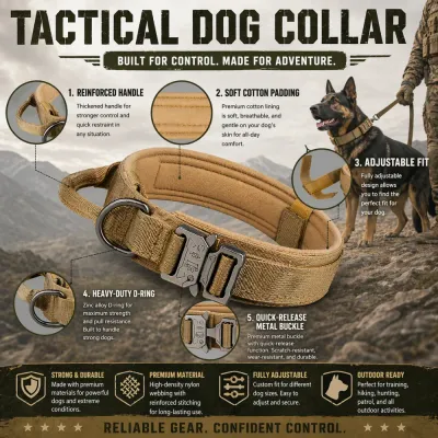 Infographic highlighting 5 features: reinforced handle, soft cotton padding, adjustable fit, heavy-duty D-ring, and quick-release metal buckle.