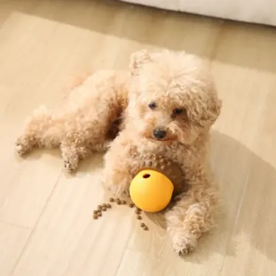 durable-silicone-slow-feeder-dog-toy Top view of a toy poodle interacting with a yellow silicone treat toy, highlighting the soft and flexible material.