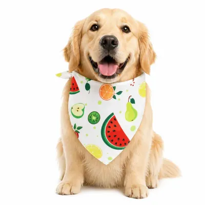 A happy Golden Retriever sitting and wearing a white dog bandana featuring a colorful watermelon and citrus fruit print.