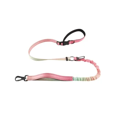 Pink-Green-Gradient-Bungee-Dog-Leash Studio product shot of the Pink Green gradient multi-functional dog leash with a car safety buckle.