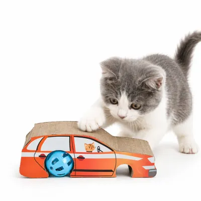 Cat playing with interactive cardboard car shaped cat scratcher toy with rolling bell ball for indoor cats wholesale