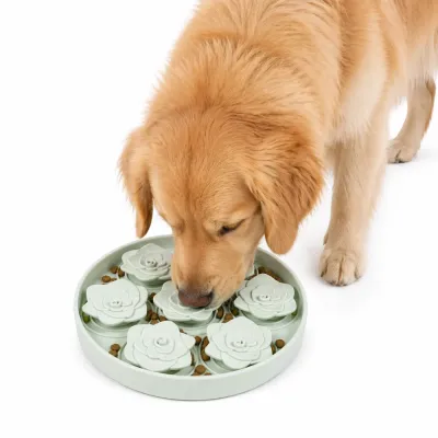 Golden Retriever Eating from Floral Slow Feeder Mat A Golden Retriever dog eating dry kibble from a light green succulent-shaped silicone slow feeder lick mat on a white background.