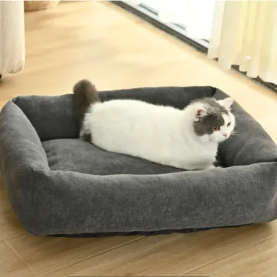 cat-using-soft-black-pet-sofa-bed-indoor-scene Cat resting on soft black pet sofa bed in indoor home setting
