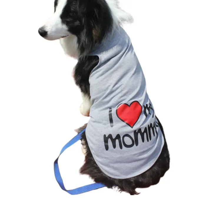A Border Collie wearing a sleeveless grey dog shirt with "I Love My Mommy" and a red heart printed on the back.