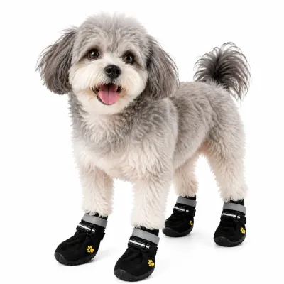 breathable-dog-boots-for-small-dogs A small grey fluffy dog wearing black waterproof dog boots with reflective straps and yellow paw embroidery.