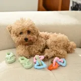 A small curly-haired dog lying on a sofa next to several colorful TPR slipper and ring toys.