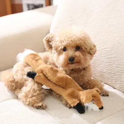 small-dog-playing-with-plush-fox-toy A small curly-haired dog sitting on a sofa with a stuffing-free plush fox squeaky toy.