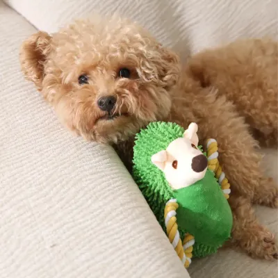 plush-hedgehog-toy-with-small-dog-lifestyle A small curly-haired dog resting next to the green hedgehog plush toy on a sofa, demonstrating product use.