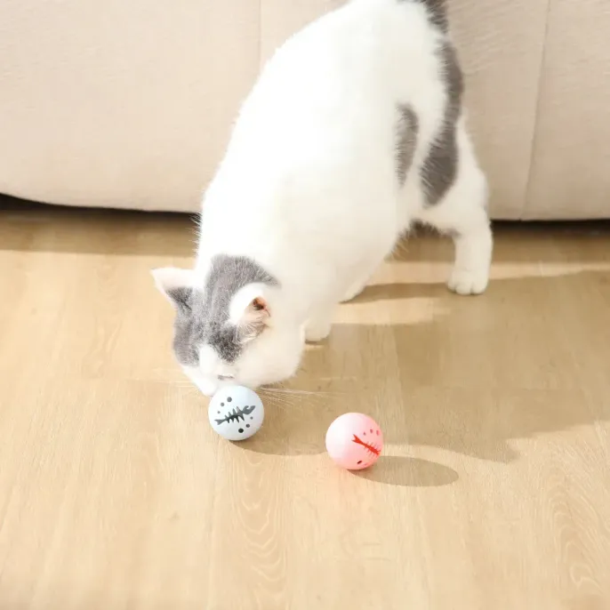cat-playing-with-interactive-bell-ball A domestic cat engaging with the pink and grey interactive balls on a wooden floor.