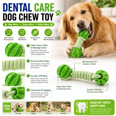 Infographic detailing features: non-toxic TPR material, teeth cleaning texture, strong cotton rope, and interactive play modes like tugging and fetching.