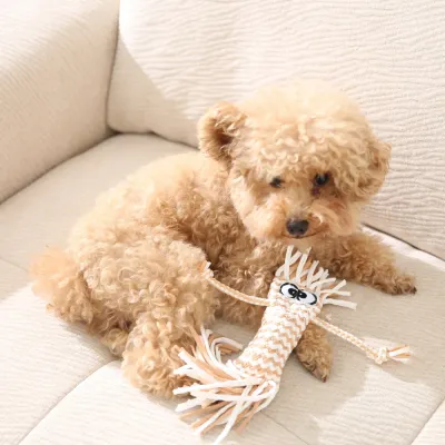 small-dog-playing-with-cotton-rope-toy A small curly-haired dog resting on a beige sofa while playing with the brown octopus rope toy.