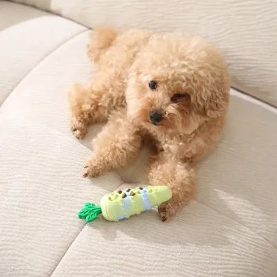 Interactive Slow Feeder Toy for Small Dogs and Puppies A small curly-haired dog playing with a green carrot puzzle toy on a light-colored sofa.