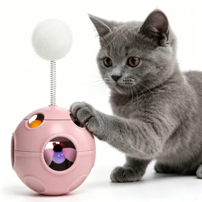 A grey British Shorthair cat sitting next to a pink interactive toy ball with a white pom-pom on a spring.