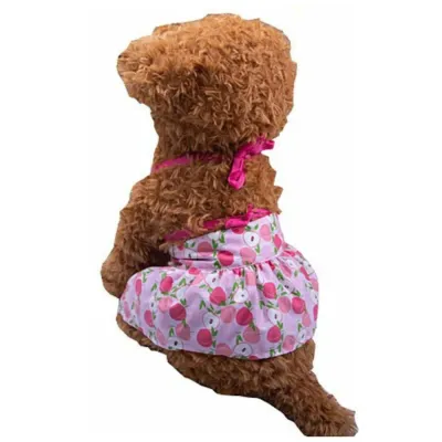 Peach Print Dog Bikini Set Back View Cute Summer Pet Swimsuit Small brown poodle wearing peach print dog bikini set back view cute summer pet beach outfit