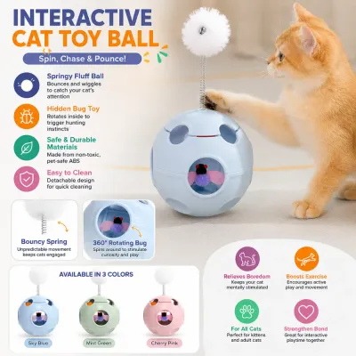 Infographic highlighting features like the hidden bug toy, safe ABS material, and benefits like boredom relief and exercise.