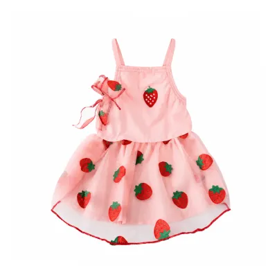 Pink strawberry embroidered mesh pet dress for cats and small dogs