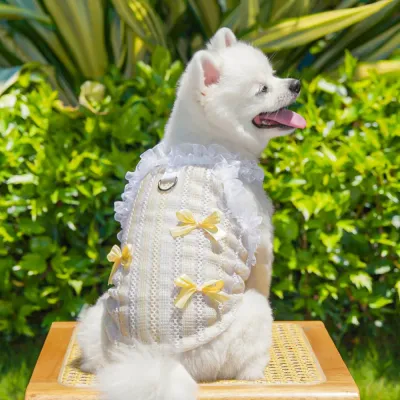 Yellow Lace Dog Vest Outdoor Puppy Wear Small white puppy wearing a yellow lace ruffle vest outdoors in sunny garden