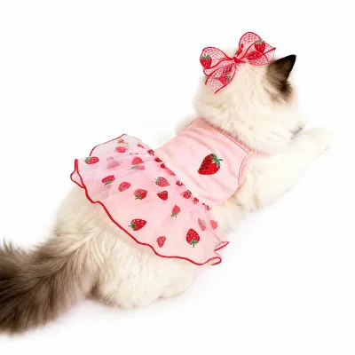 Strawberry Tulle Cat Dress with Bow Fluffy cat wearing pink strawberry tulle pet dress with matching bow for summer