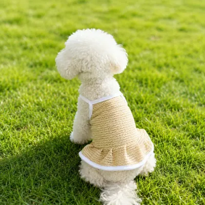 Small dog wearing yellow breathable mesh cooling dress on grass outdoor