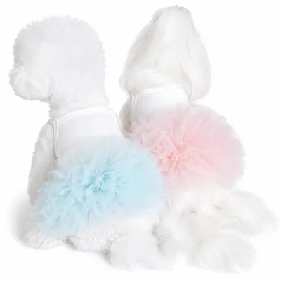 Wholesale Ballet Tutu Dog Dress for Small Dogs | Petfairs Two small dogs wearing fluffy ballet tutu pet dresses in blue and pink colors for small breed dogs