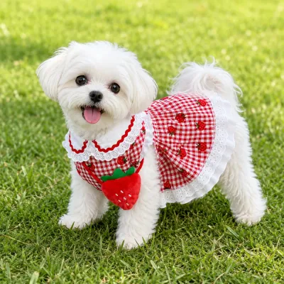Cute Strawberry Plaid Dog Dress Outdoor Wear | Petfairs Small white dog wearing red strawberry plaid summer dress on green grass outdoors